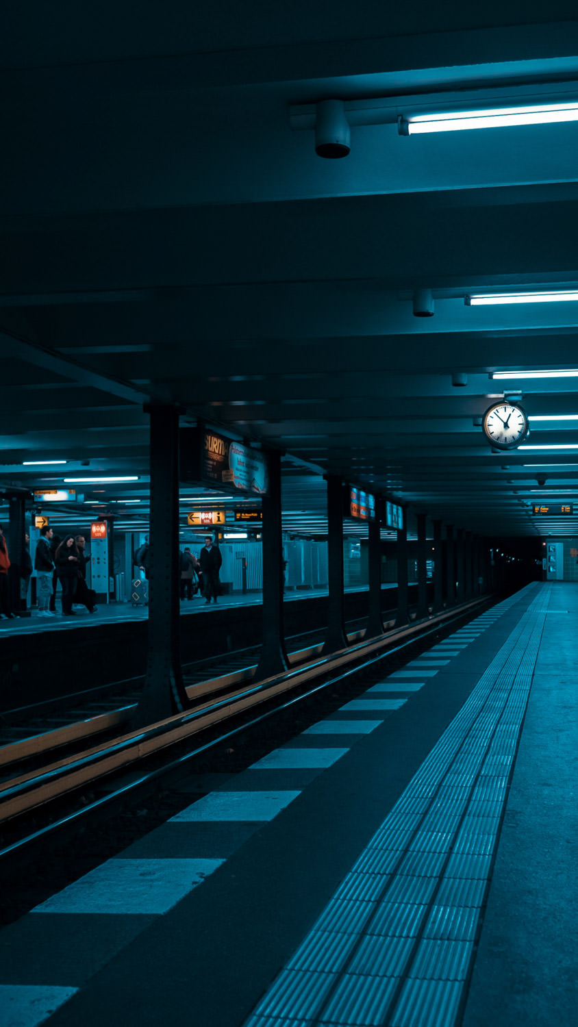 2025_portfolio-22